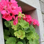 Garden Vikendica Stanjel