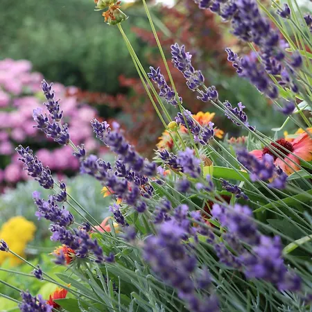 Holiday home Garden Stanjel