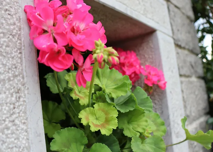 Garden Holiday home Stanjel