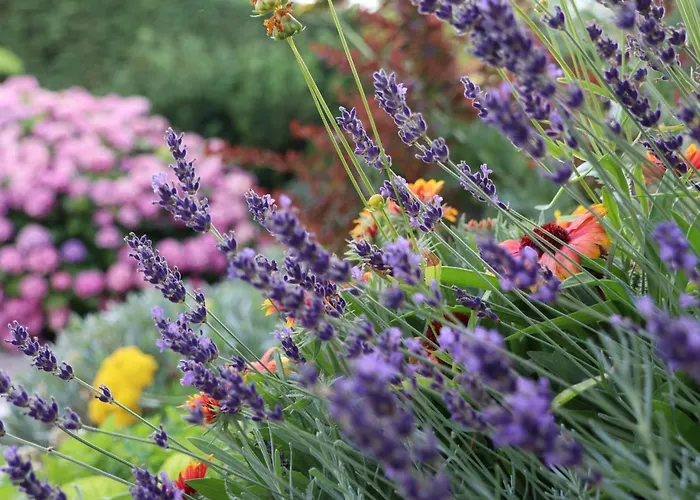 Holiday home Garden Stanjel